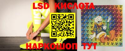 эйфоретик Ковров