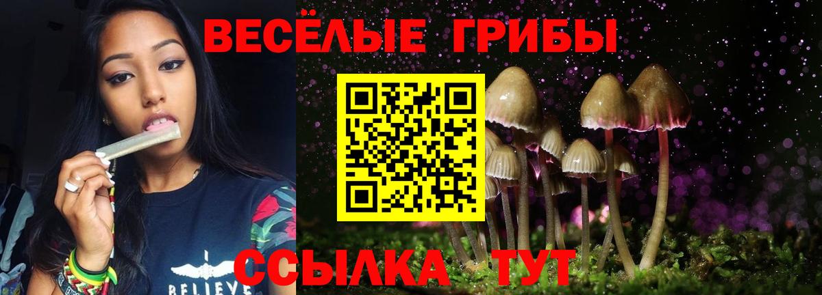 Галлюциногенные грибы GOLDEN TEACHER Азов